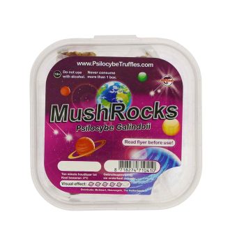 MushRocks Psilocybe Galindoii Magic Truffels Smartific.nl