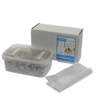 ✅ McSmart Colombian Paddo Grow Kit (Psilocybe Colobienscens) 1200cc analyse - Magische Paddo's - Smartific.com