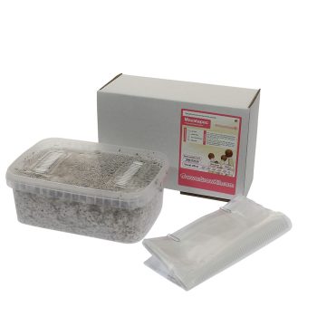✅ McSmart Mazatapec Paddo Grow Kit (Psilocybe Mayiescens) 1200cc analyse - Magische Paddo's - Smartific.com