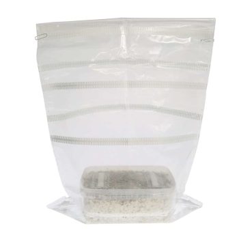 ✅ McSmart Mazatapec Paddo Grow Kit (Psilocybe Mayiescens) 1200cc analyse - Magische Paddo's - Smartific.com