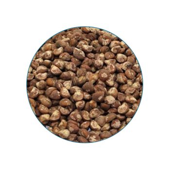 Baby Hawaiian Woodrose 10 seeds contents McMystic