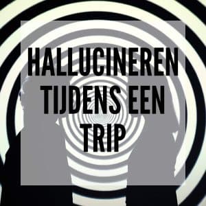 Hallucineren tijdens een trip