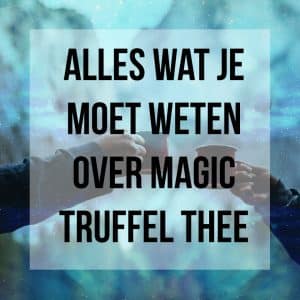 Magic Truffel Thee Alles wat je moet weten