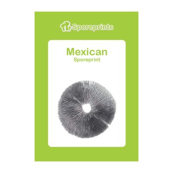 Mexican Sporeprint 2