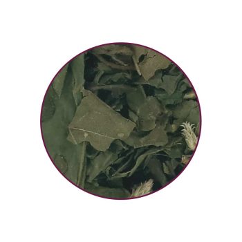 Dreamherb Contents